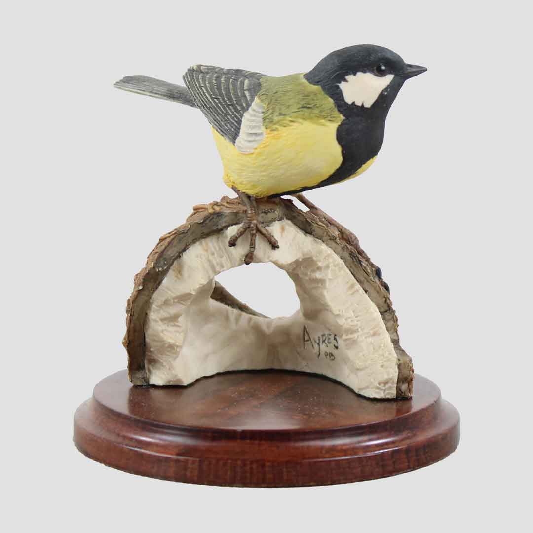 Great Tit On Coconut Border Fine Arts Bird