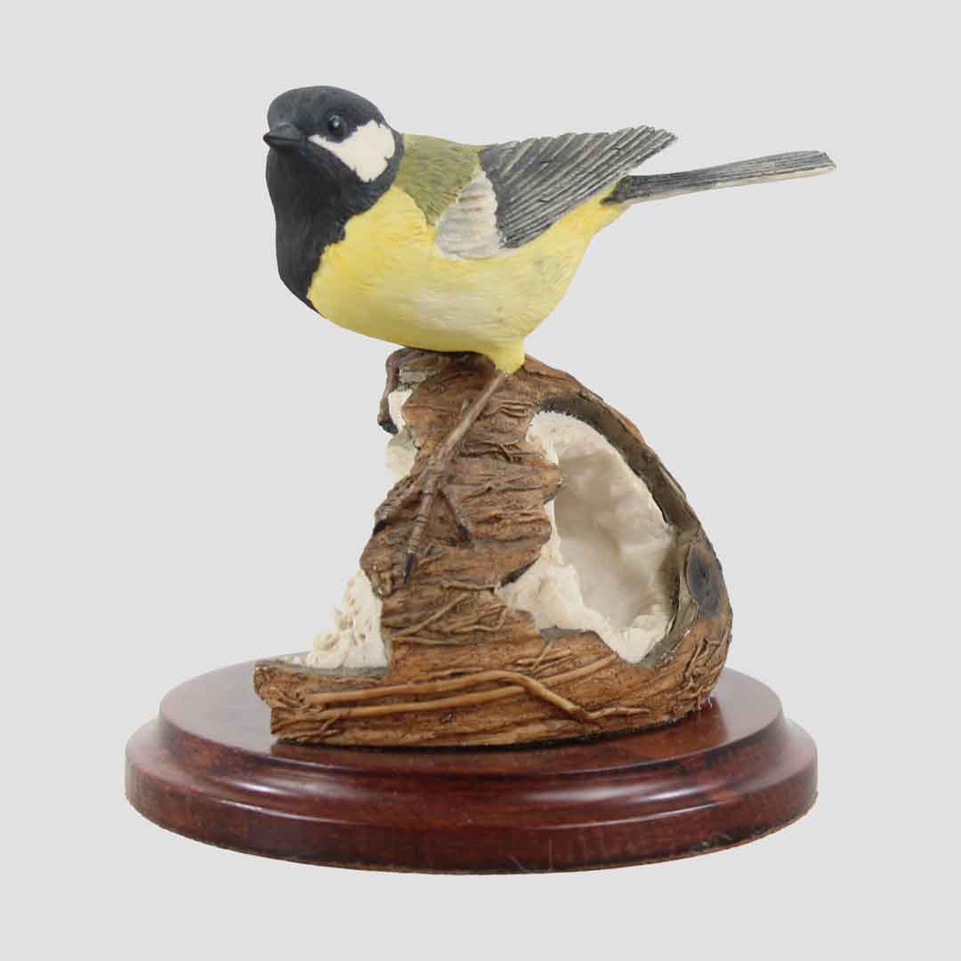 Great Tit On Coconut Border Fine Arts Bird