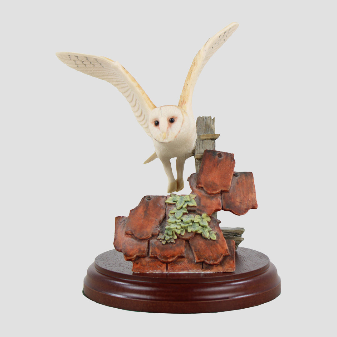 Barn Owl Flying Border Fine Arts