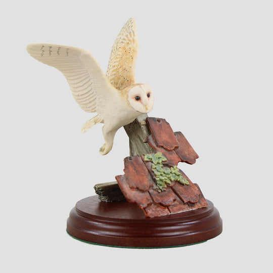 Barn Owl Flying Border Fine Arts