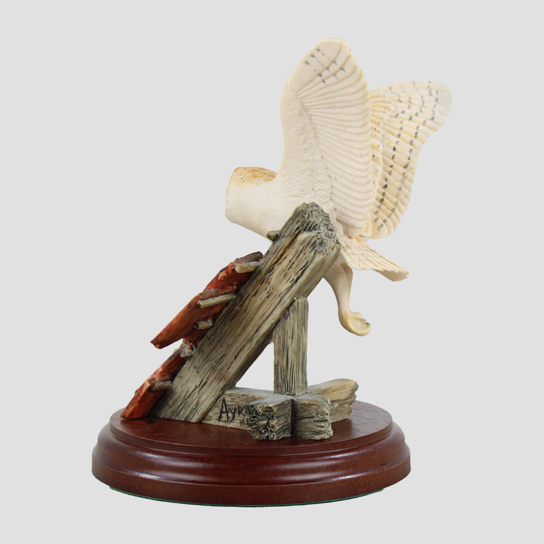 Barn Owl Flying Border Fine Arts