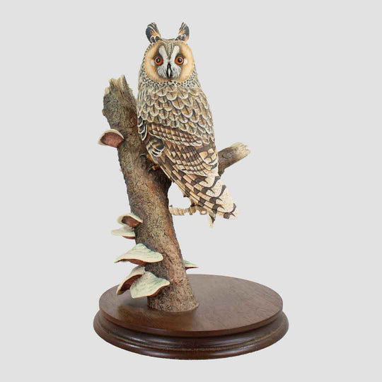 Long Eared Owl Border Fine Arts