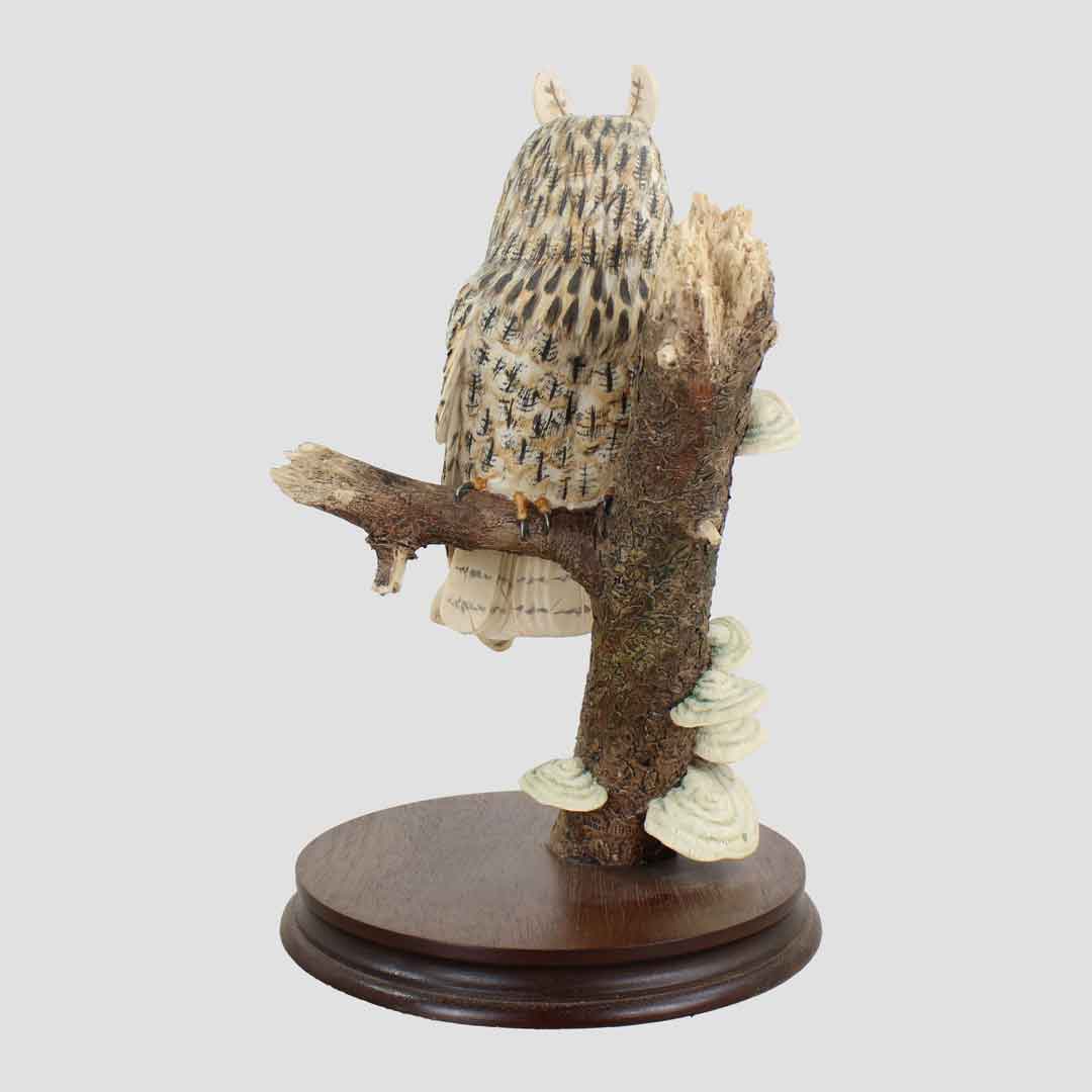 Long Eared Owl Border Fine Arts