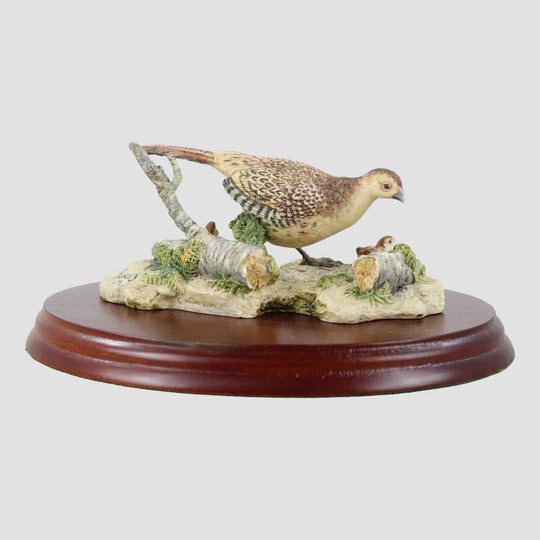 Hen Pheasant And Chicks Border Fine Arts