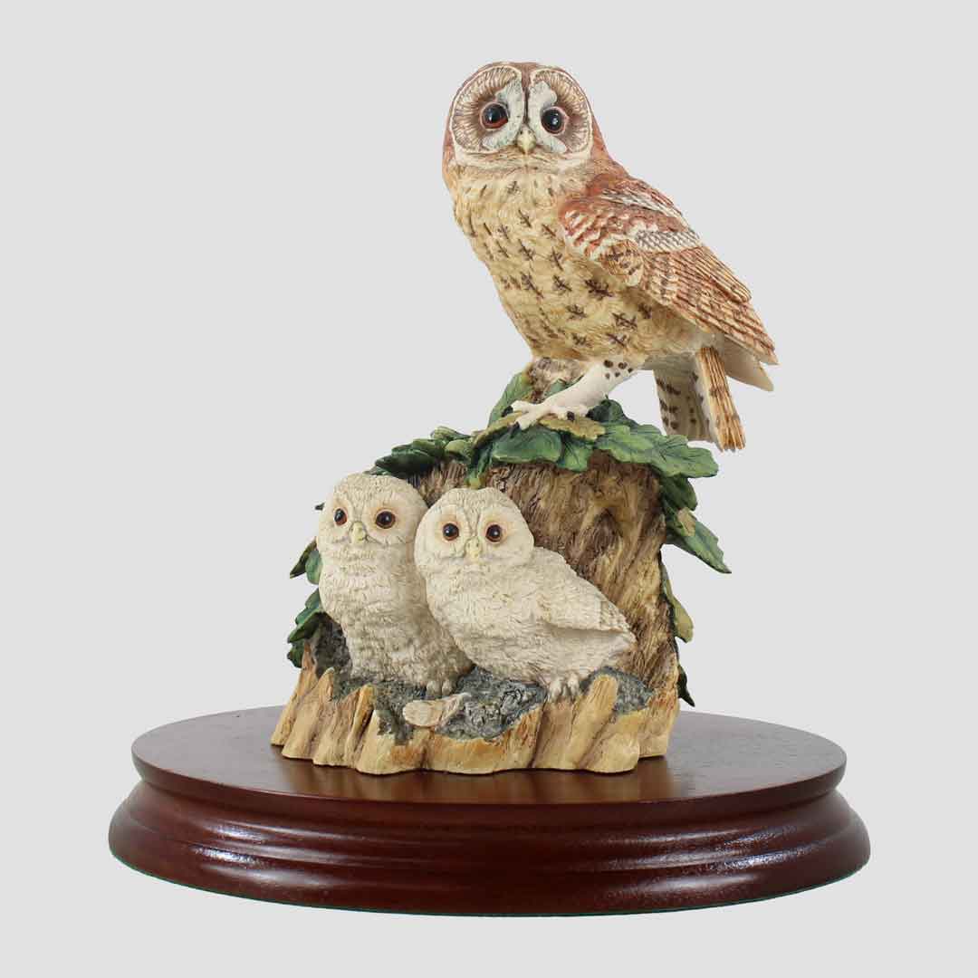 Tawny Owl and Owlets Border Fine Arts