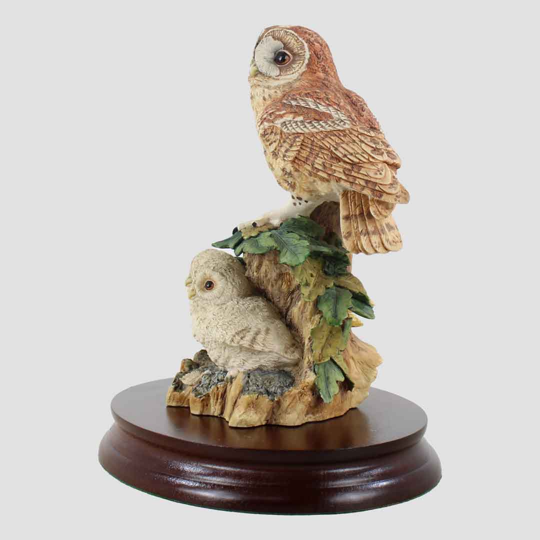 Tawny Owl and Owlets Border Fine Arts