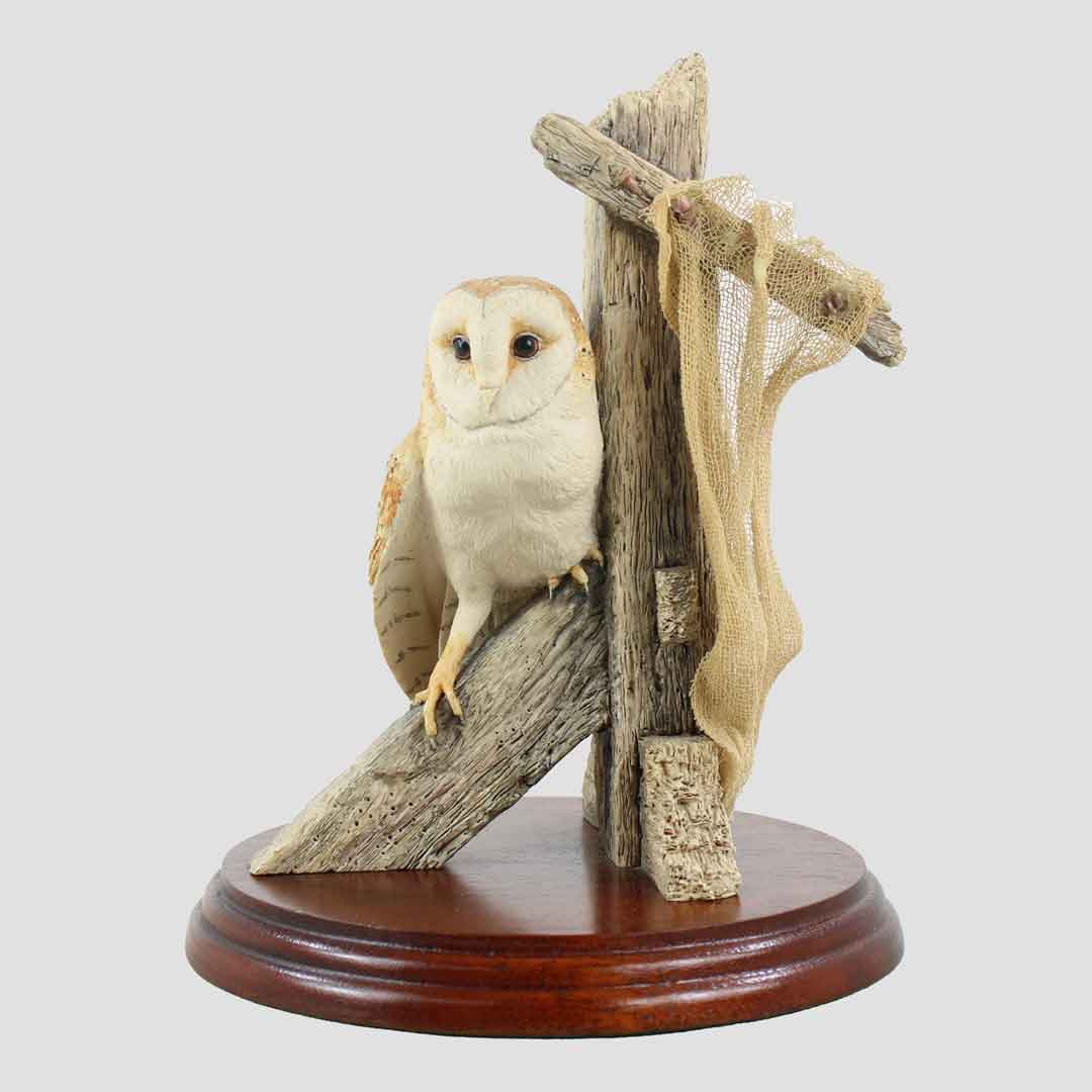 Barn Owl On Roof Beams Border Fine Arts