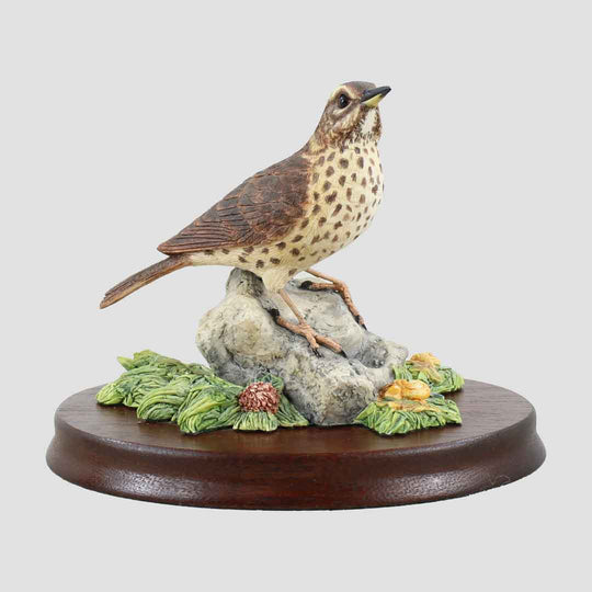 Song Thrush On Rock Border Fine Arts Bird