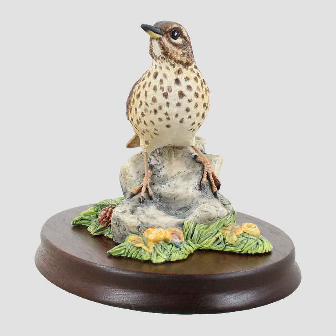 Song Thrush On Rock Border Fine Arts Bird