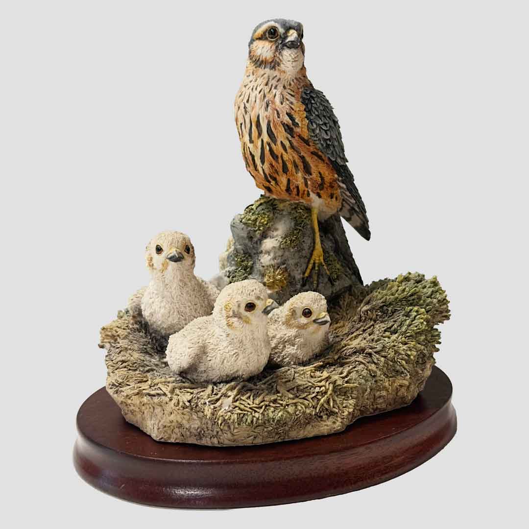 Merlin And Chicks Border Fine Arts Birds
