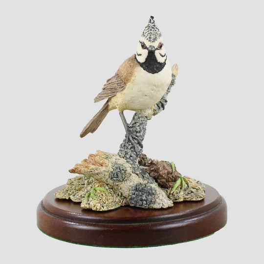 Crested Tit Border Fine Arts Birds