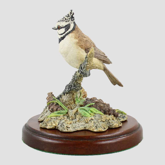 Crested Tit Border Fine Arts Birds