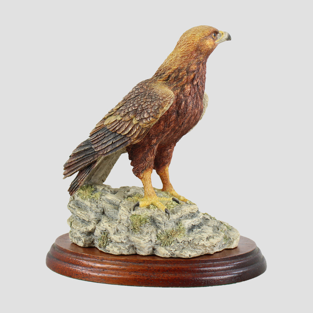 Golden Eagle Border Fine Arts