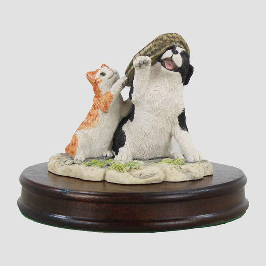 If The Cap Fits Border Fine Arts Collie And Cat