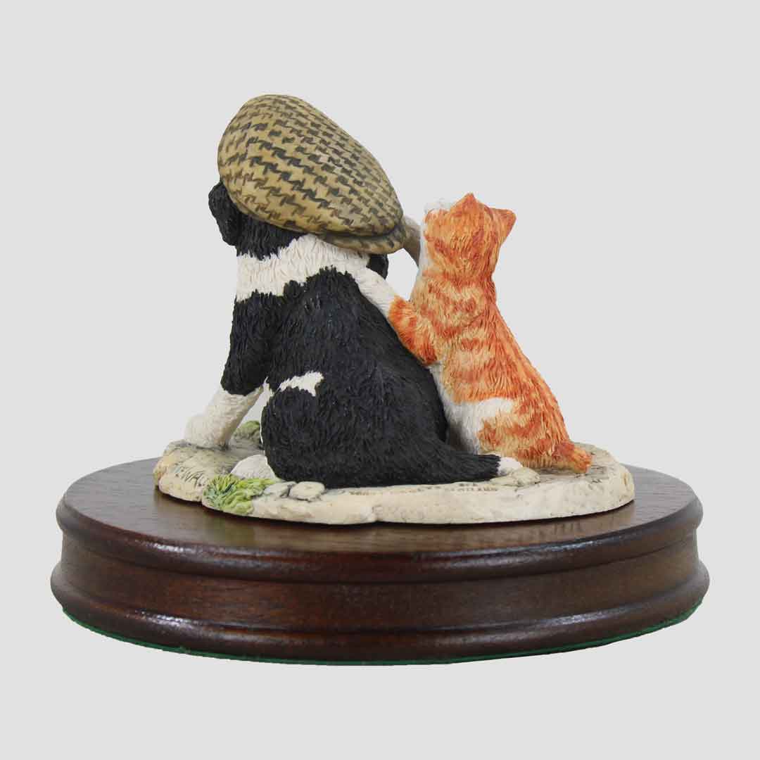 If The Cap Fits Border Fine Arts Collie And Cat