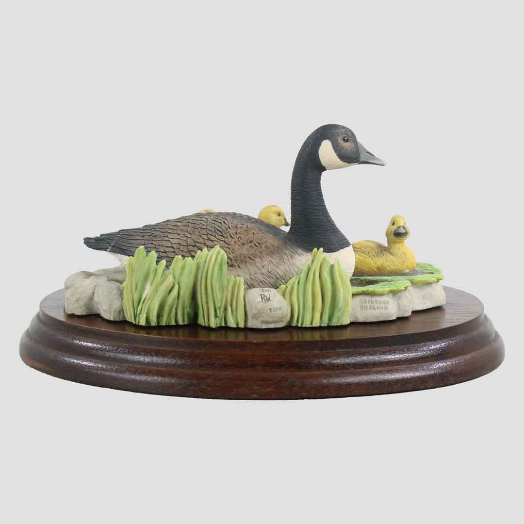 Canada Goose And Goslings (Style One) Border Fine Arts