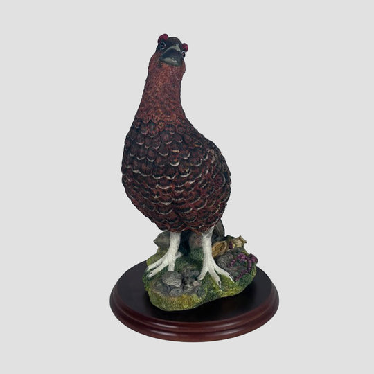 Red Grouse Gamebird by Border Fine Arts