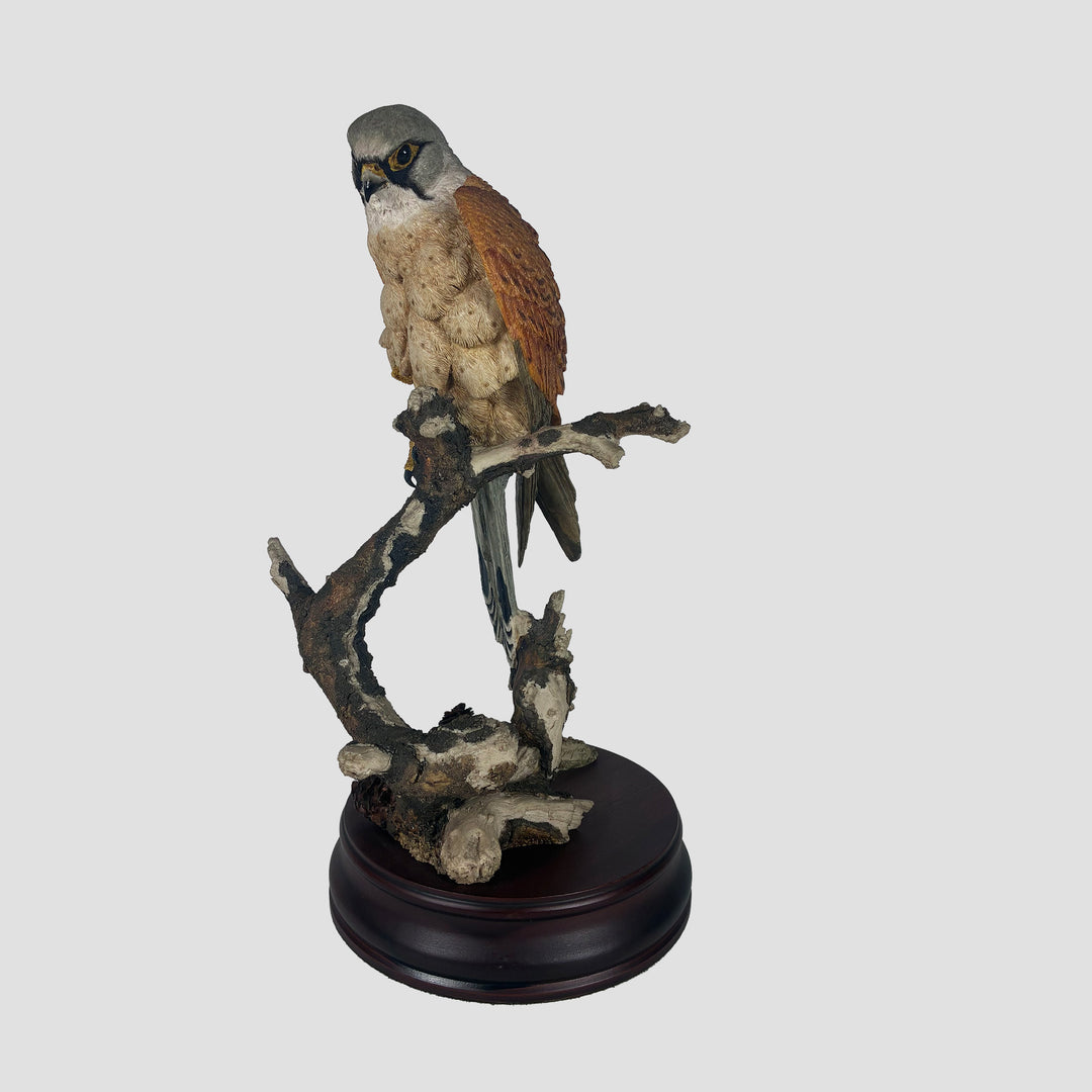 Kestrel by Sherret and Simpson Bird of Prey Model