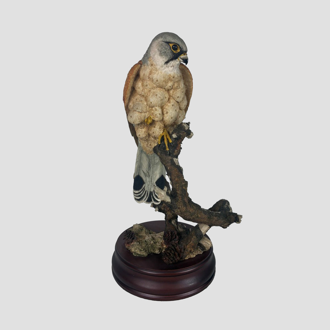 Kestrel by Sherret and Simpson Bird of Prey Model