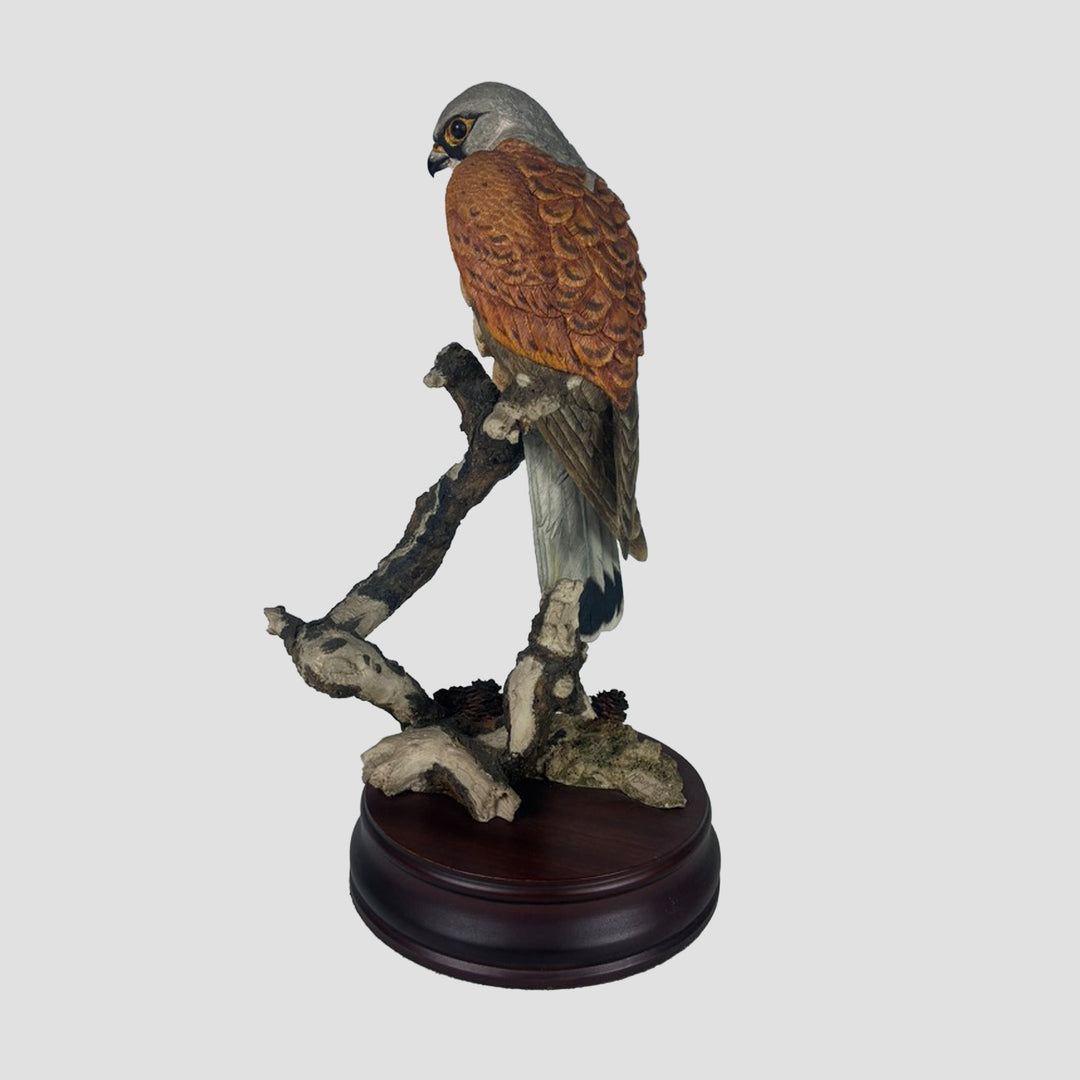 Kestrel by Sherret and Simpson Bird of Prey Model