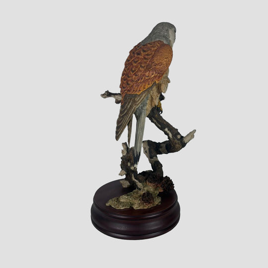Kestrel by Sherret and Simpson Bird of Prey Model