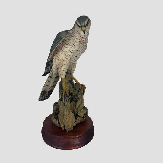 Peregrine by Sherret and Simpson Bird of Prey Model