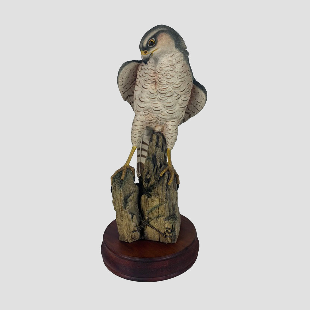 Peregrine by Sherret and Simpson Bird of Prey Model