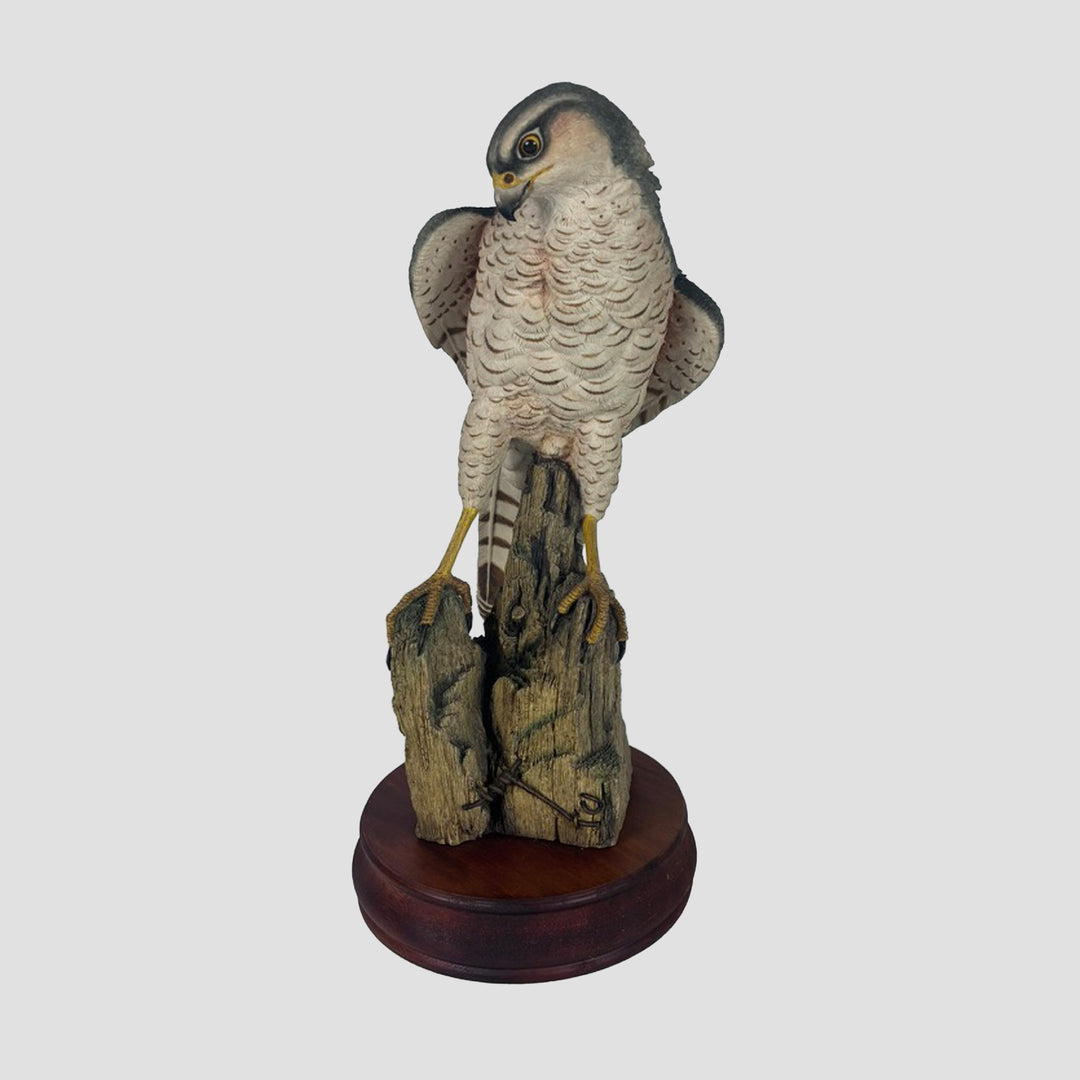 Peregrine by Sherret and Simpson Bird of Prey Model
