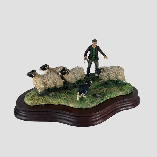 Shedding Shepherd and Sheep by  Border Fine Arts