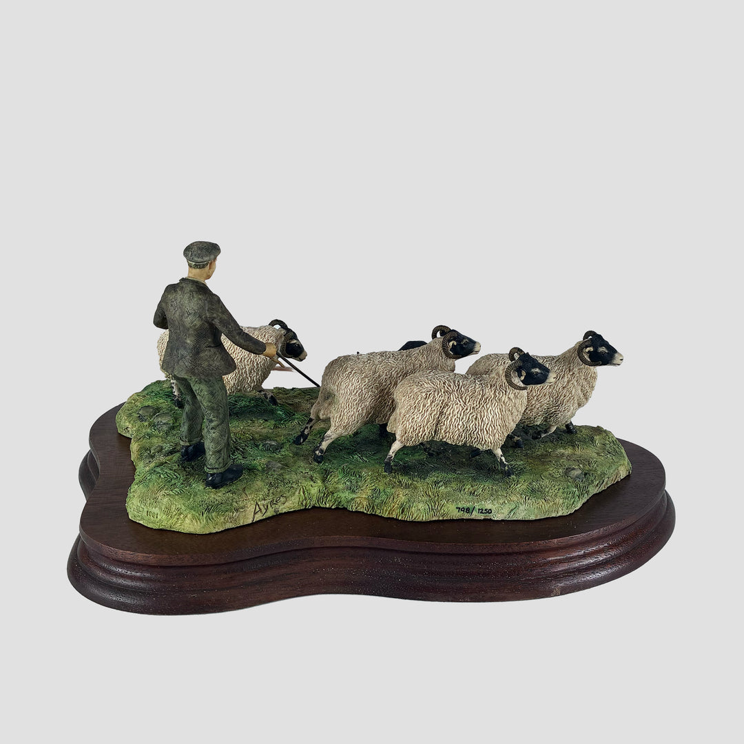 Shedding Shepherd and Sheep by  Border Fine Arts
