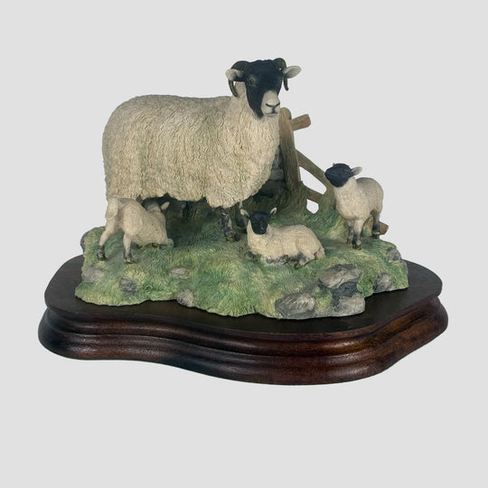 Spring Lambing Border Fine Arts Sheep Model