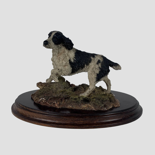 Springer Spaniel Black and White Standing Country Artist Model