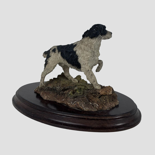 Springer Spaniel Black and White Standing Country Artist Model