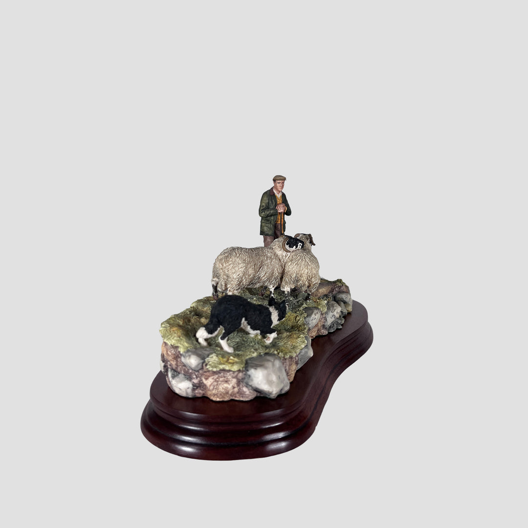 Steady Lad Steady Sheep Model Border Fine Arts Original Box and Certificate