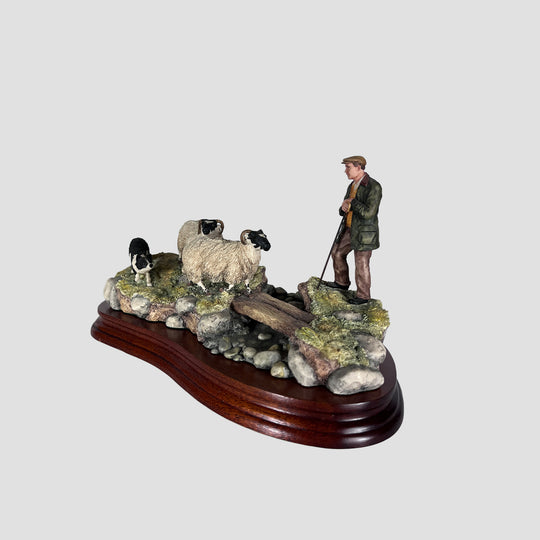 Steady Lad Steady Sheep Model Border Fine Arts Original Box and Certificate