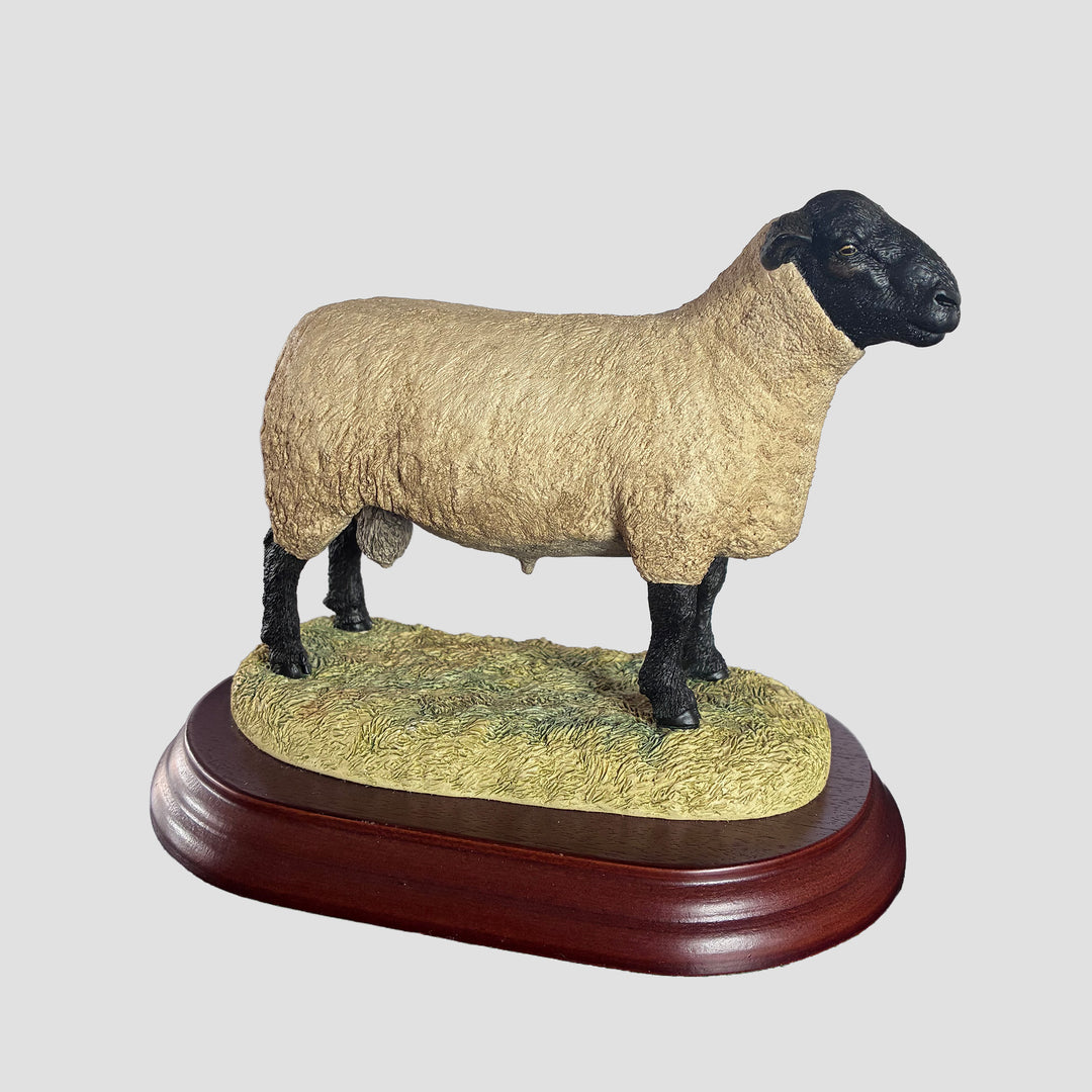 Suffolk Tup by Border Fine Arts Sheep Model