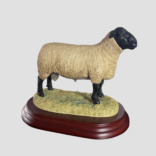 Suffolk Tup by Border Fine Arts Sheep Model