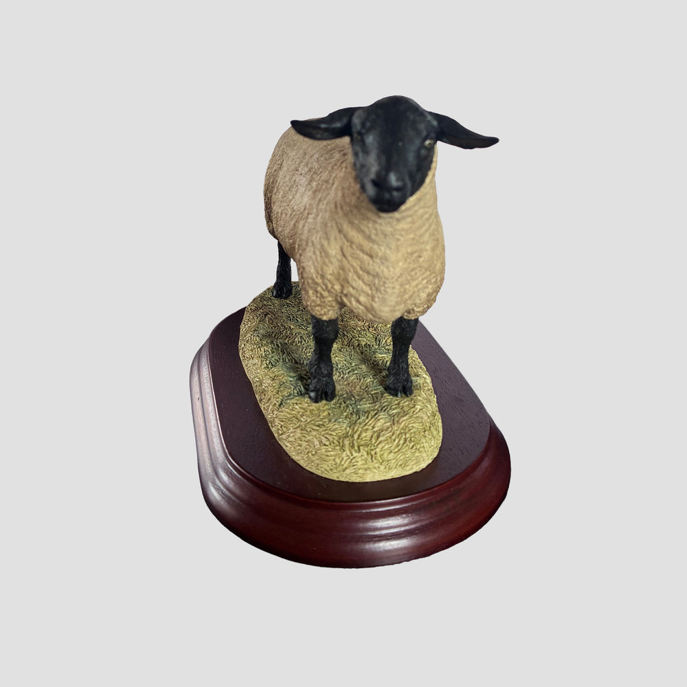 Suffolk Tup by Border Fine Arts Sheep Model