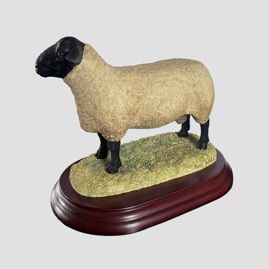 Suffolk Tup by Border Fine Arts Sheep Model