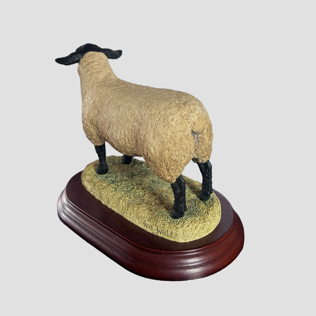 Suffolk Tup by Border Fine Arts Sheep Model