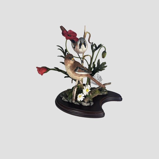 Summer Rendezvous model by Country Artists