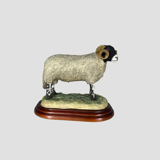 Swaledale Ram Border Fine Arts Studio Original Box