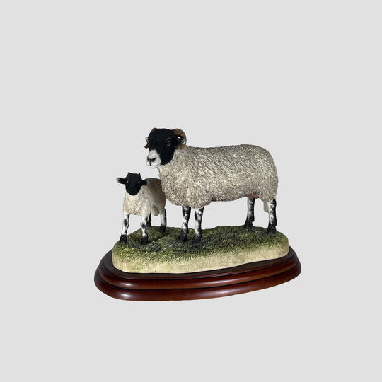 Swaledale Ewe and Lambs Border Fine Arts Studio Model Original Box