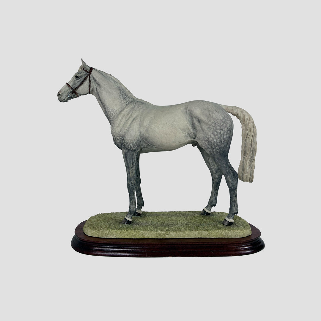 Thoroughbred Stallion Grey Standing Style Two Border Fine Arts Model by Anne Wall