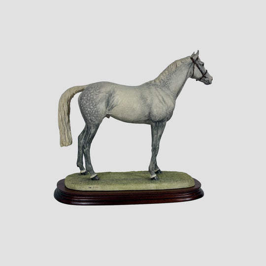 Thoroughbred Stallion Grey Standing Style Two Border Fine Arts Model by Anne Wall