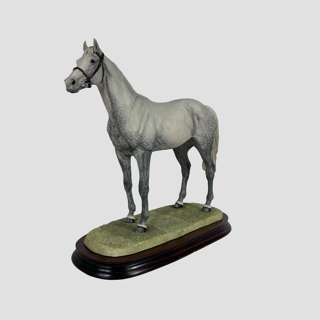 Thoroughbred Stallion Grey Standing Style Two Border Fine Arts Model by Anne Wall