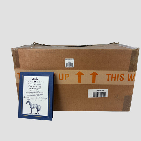 Thoroughbred Stallion Grey Standing Style Two Border Fine Arts Model by Anne Wall