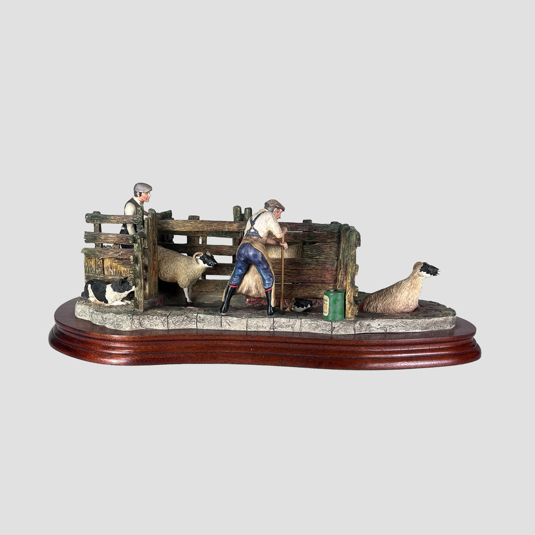 Twice Under Sheep Dipping Model Border Fine Arts