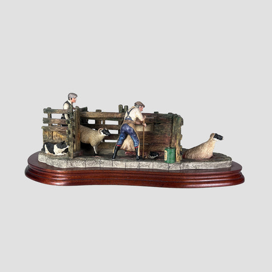 Twice Under Sheep Dipping Model Border Fine Arts