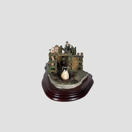 Twice Under Sheep Dipping Model Border Fine Arts